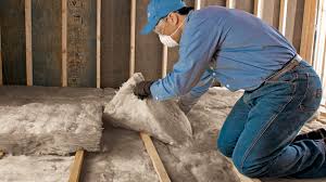 Best Basement Insulation  in Menasha, WI