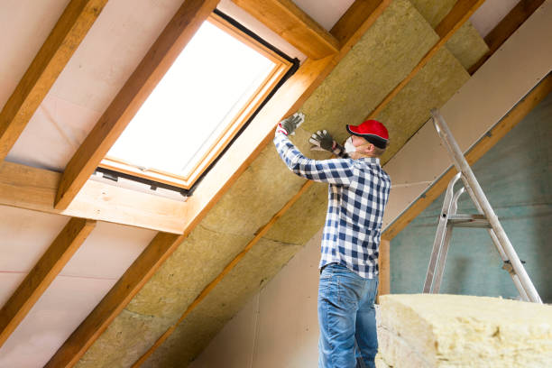 Best Soundproof Insulation  in Menasha, WI