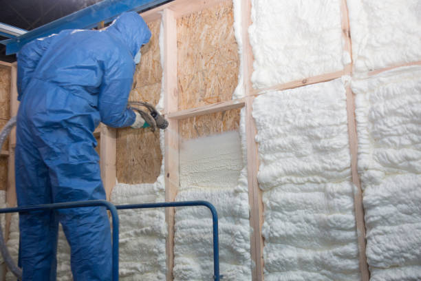 Best Thermal Imaging for Insulation Gaps  in Menasha, WI